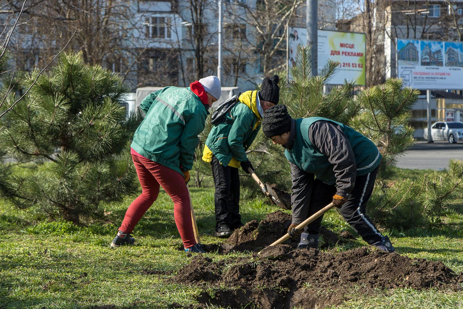 Стаття Озеленением по коронавирусу: на площади Деревянко высадили 80 деревьев Ранкове місто. Одеса