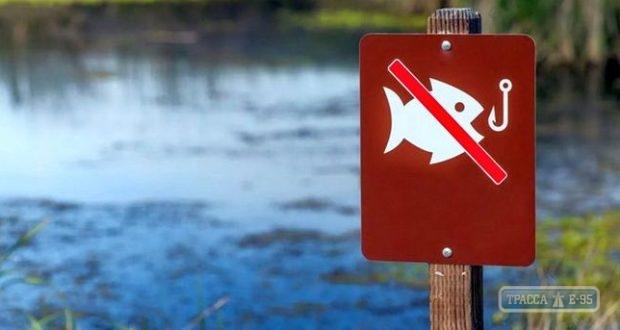 Стаття Запрет на рыбалку вводится в Одесской области Ранкове місто. Одеса