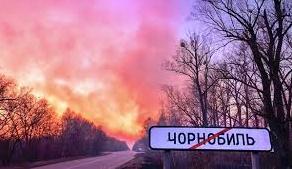 Стаття Фото дня. Від пожежі у Чорнобилі врятували білченят Ранкове місто. Одеса