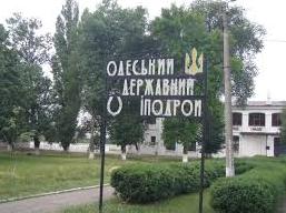 Стаття Одесский ипподром в условиях карантина. ФОТО Ранкове місто. Одеса