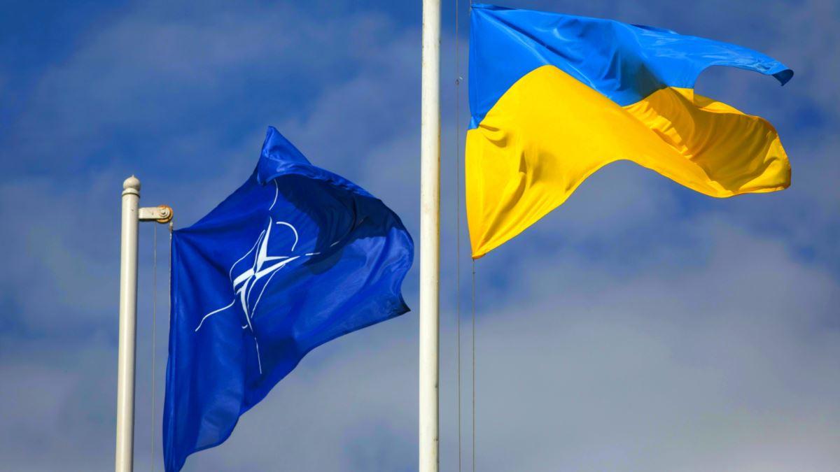 Стаття В Україні стартував онлайн-курс про НАТО для всіх охочих Ранкове місто. Одеса