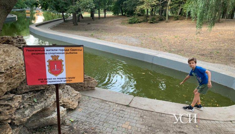 Стаття Детям разрешили рыбачить в парке Победы (фото) Ранкове місто. Одеса