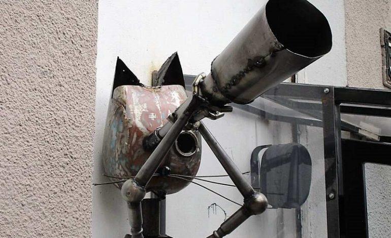 Стаття В Одессе появился кот-астроном Ранкове місто. Одеса