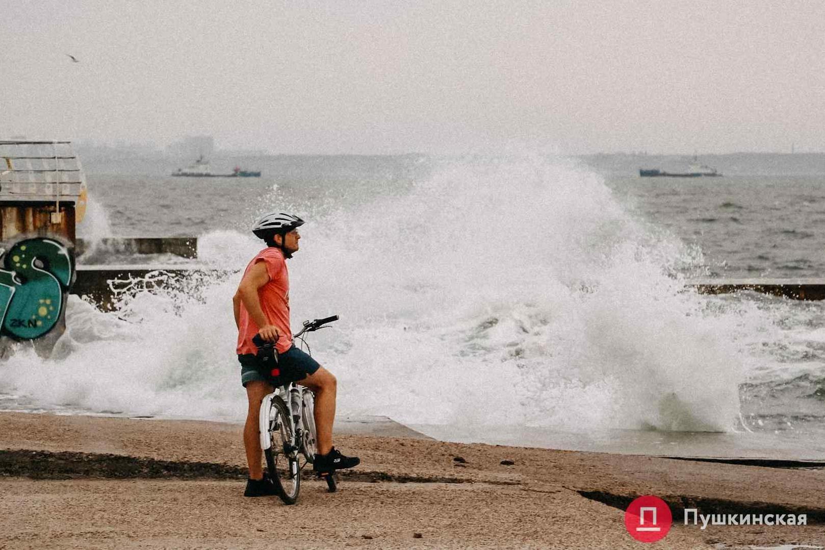Стаття Коты, пляж и теплая вода: фоторепортаж со штормового осеннего моря в Одессе Ранкове місто. Одеса