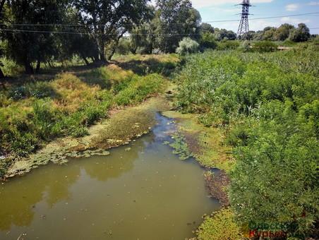 Стаття В Одесской области взялись расчищать каналы из Дуная в озера Ранкове місто. Одеса