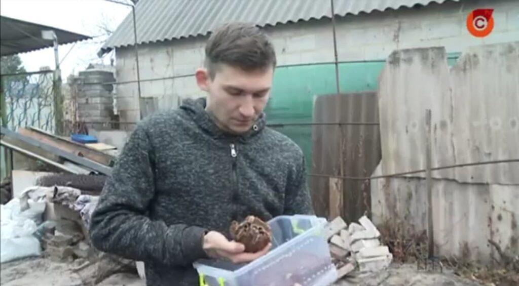Стаття Житель Мариуполя создал центр реабилитации диких животных: видео Ранкове місто. Одеса