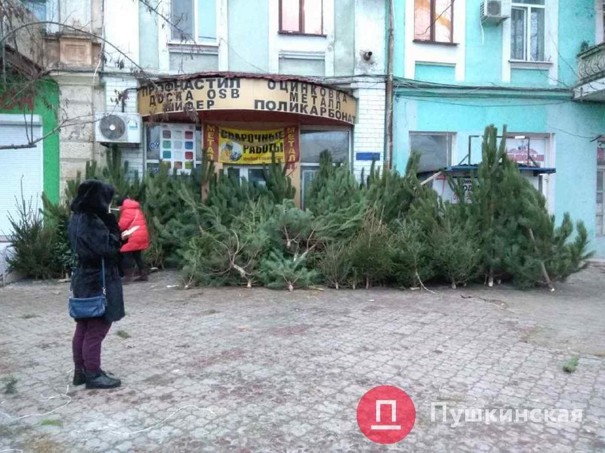 Стаття «Не выкидывай — пригодится»: в Одессе использованные елки будут менять на конфеты. Видео Ранкове місто. Одеса