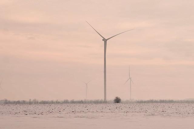 Стаття В селе Староказачье готовят к запуску мощную ветровую электростанцию Ранкове місто. Одеса