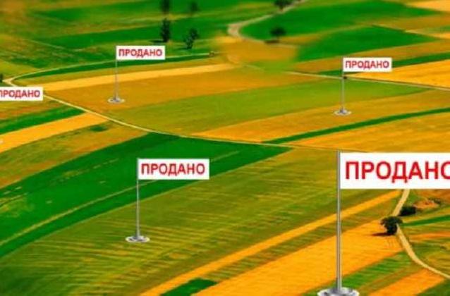Стаття Украинский рынок земли выведут из тени: сколько будет стоить гектар? Ранкове місто. Одеса