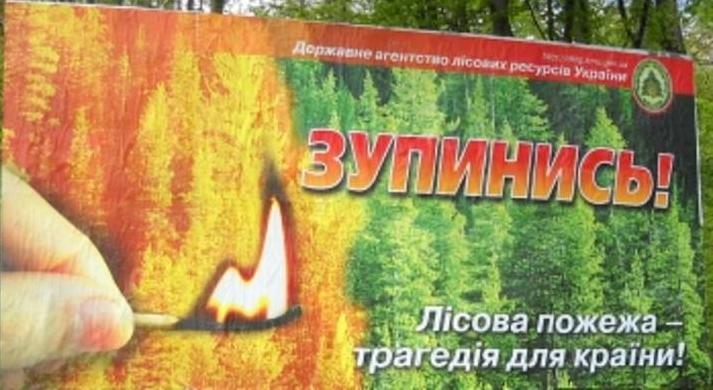Стаття Жителям Северодонецкой громады запретили ходить в лес без спецразрешения Ранкове місто. Одеса