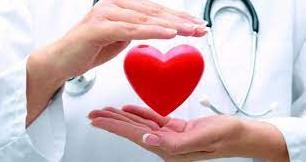 Стаття В Северодонецке 14 июня врачи будут бесплатно обследовать пациентов с болезнями сердца Ранкове місто. Одеса
