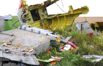 Стаття Выпущенная из «Бука» ракета - единственная причина катастрофы рейса MH17, - суд в Гааге ФОТО Ранкове місто. Одеса
