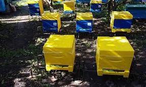 Стаття На Луганщине только в Марковском лицее будут готовить пчеловодов: закупили оборудование по гранту Ранкове місто. Одеса