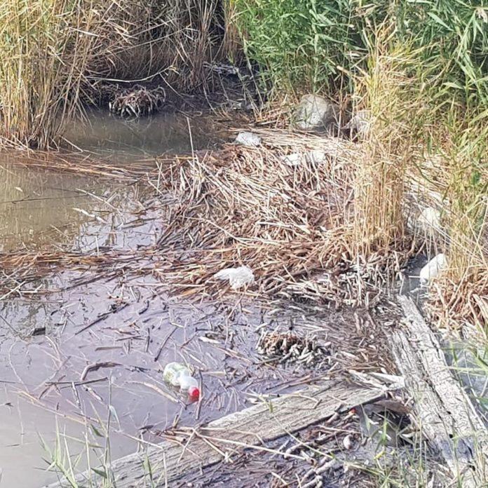 Стаття Судя по фотографиям, на озере – экологическая катастрофа Ранкове місто. Одеса