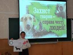 Стаття Дни доброты: гимназия № 5 собрала помощь для котиков (фото) Ранкове місто. Одеса