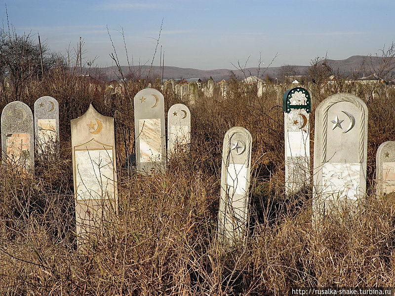 Статья Останки вывозят в лес: оккупанты застраивают мусульманские кладбища в Крыму Утренний город. Одесса