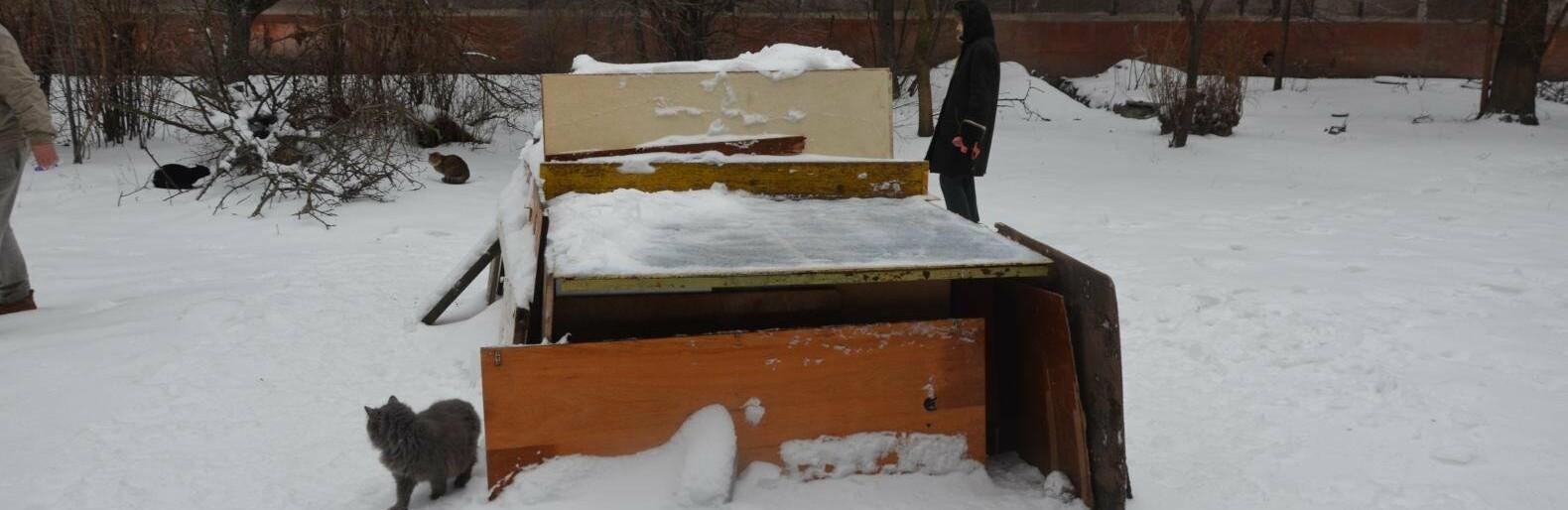 Статья Жители Мариуполя построили домик для бездомных котов из теннисного стола (фото) Утренний город. Одесса