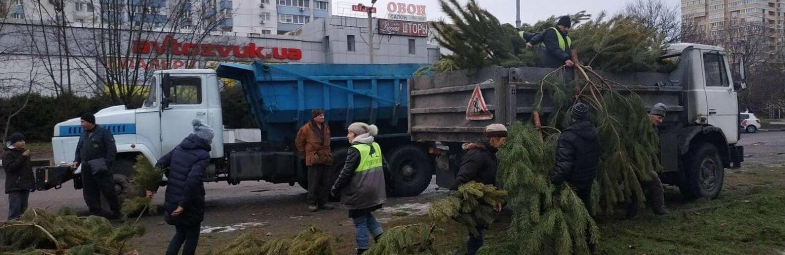 Статья Зачем? Трудно объяснить! Одесские продавцы облили соляркой тысячи елок, которые не продали. ФОТО Утренний город. Одесса