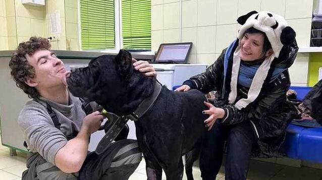 Статья Спасатели животных в Киеве ищут дом собаке, которая 5 дней охраняла тело умершего владельца Утренний город. Одесса