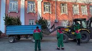 Статья В Одессе начали высадку 1600 сосен возле школ и детсадов (фото) Утренний город. Одесса