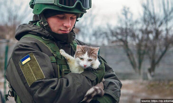 Стаття Save Pets of Ukraine: як можна допомогти чотирилапим під час війни? ФОТО Ранкове місто. Одеса