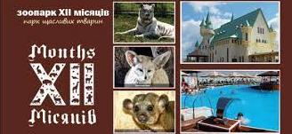 Стаття Под Киевом в зоопарке «ХІІ месяцев» могут погибнуть все животные: что нужно сделать для их спасения? Ранкове місто. Одеса