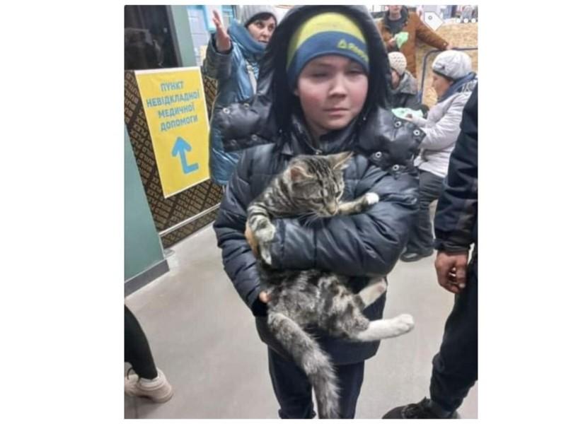 Стаття Маленькі герої. Хлопчик з Маріуполя після 15 діб в окупації, евакуювався з котом Ранкове місто. Одеса