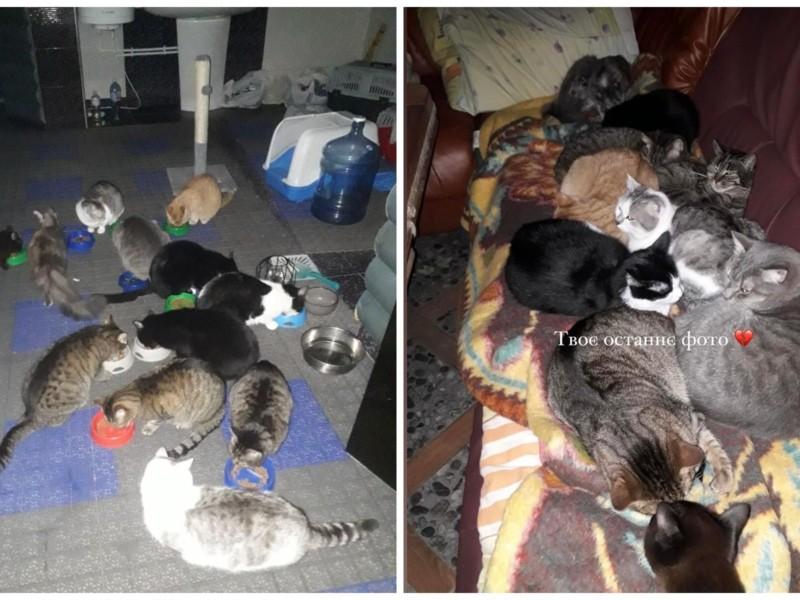 Стаття Рашисти вбили чоловіка, який доглядав 13 котів, донька благає врятувати тварин Ранкове місто. Одеса