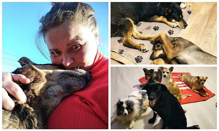 Стаття «Сотні котів та собак тепер на вулиці»: волонтерка з Донеччини рятує тварин, яких покинули, тікаючи від війни Ранкове місто. Одеса