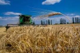 Статья Фермеры Одесской области первыми в Украине начали собирать урожай Утренний город. Одесса