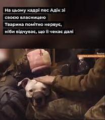 Стаття Оккупанты украли собаку у военных с Азовстали и подарили ее Кадырову, - СМИ Ранкове місто. Одеса