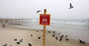 Стаття Спасатели: одесские пляжи открываться не будут Утренний город. Одеса