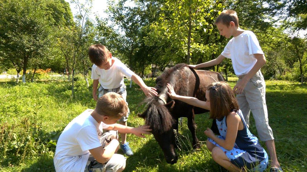 Стаття Семья из Донетчины эвакуировала шесть детей с инвалидностью и лошадей в Прикарпатье Ранкове місто. Одеса