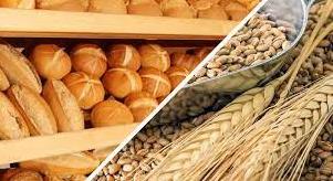 Статья На юге Украины собрали уже более 300 тысяч тонн хлеба Утренний город. Одесса