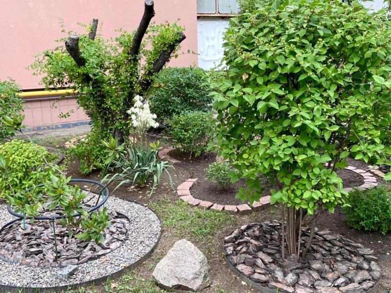 Стаття Киянка перетворила територію біля свого будинку на розкішний міні-сад – фото Ранкове місто. Одеса