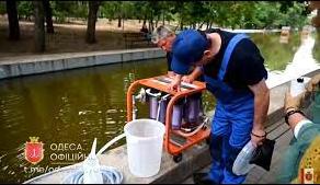 Статья В Одесі хочуть очищати воду з міських ставків до стану питної Утренний город. Одесса