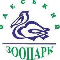 Стаття Співробітники одеського зоопарку випустили на волю врятоване цуценя єнотовидного собаки Утренний город. Одеса