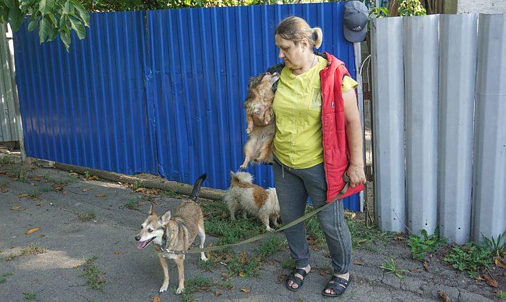 Стаття Врятувала понад 40 тварин: переселенка з Донеччини забрала в безпечне місце домашніх улюбленців Утренний город. Одеса