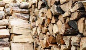 Стаття Жителям прифронтових територій почнуть доставляти безкоштовні дрова наступного тижня Утренний город. Одеса