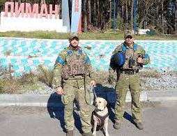 Стаття Чотирилапі герої: службові собаки допомагають повернути безпеку в деокуповані міста на Донеччині Ранкове місто. Одеса