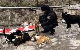 Стаття Патрульні Донеччини годують безпритульних тварин на звільнених територіях Ранкове місто. Одеса