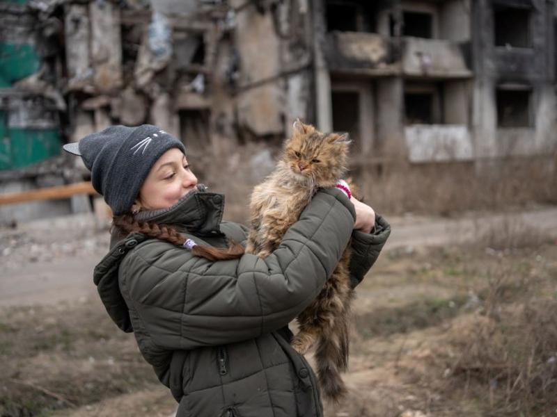 Стаття 10-річна Вероніка кожного дня приходить до свого зруйнованого дому в Бородянці, щоб нагодувати котів Ранкове місто. Одеса