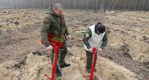 Стаття На деокупованій Лиманщині на місці знищеного лісу висадили понад 9 тис. сосен Ранкове місто. Одеса