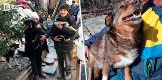 Стаття «Вивезла вісім безпритульних собак з Луганщини». Де шукати допомогу тим, хто рятує тварин Ранкове місто. Одеса