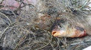 Стаття До уваги рибалок: де і коли на Одещині заборонено ловити рибу (повний список) Ранкове місто. Одеса