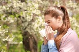 Стаття Для алергіків створено карту відстеження цвітіння: як полегшити симптоми алергії Ранкове місто. Одеса
