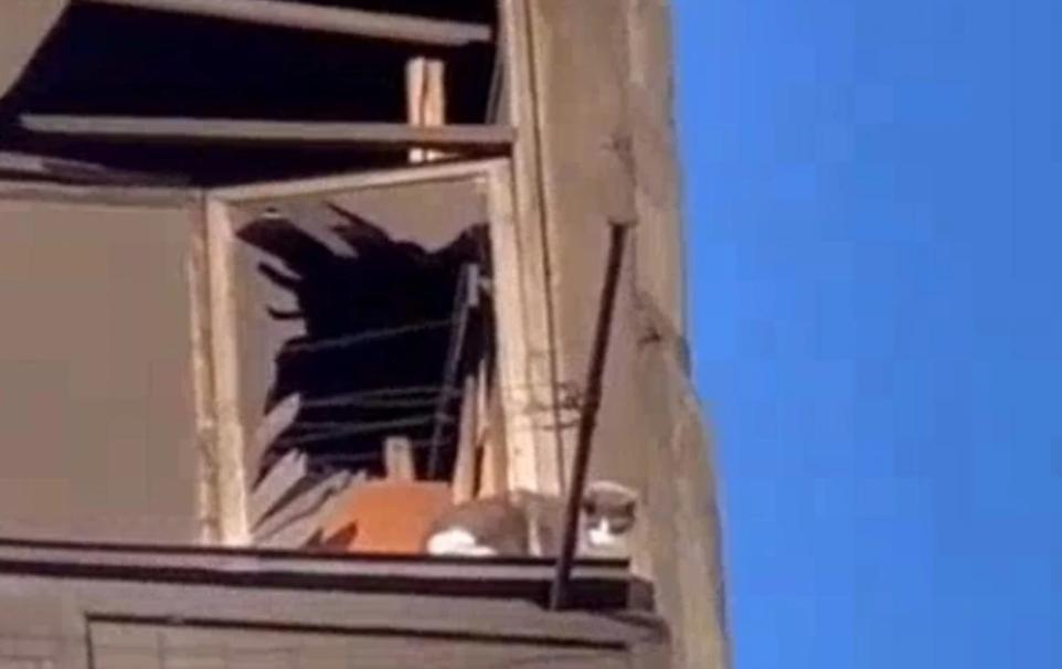 Стаття В Умані зі зруйнованого ракетним ударом будинку врятували котика: відео торкнулося мережі Ранкове місто. Одеса