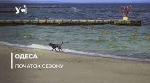 Стаття В Одесі облаштовують муніципальні пляжі: правила користування (фото) Ранкове місто. Одеса