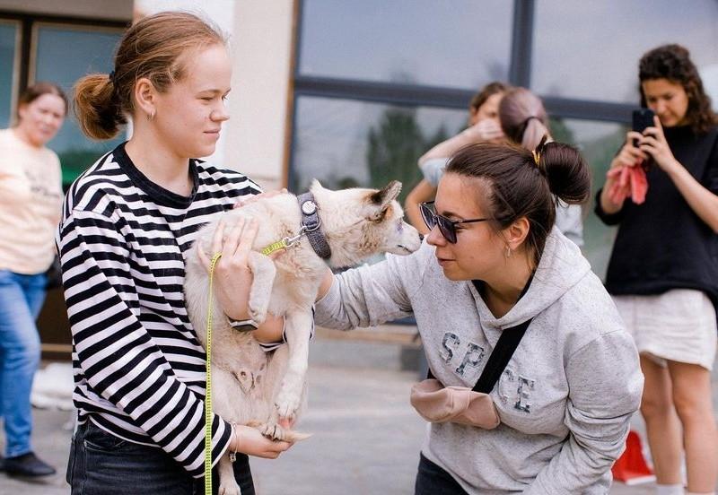Стаття Центр адопції Patron Pets Center на ВДНГ надає допомогу та прихисток тваринам з Херсонщини Ранкове місто. Одеса