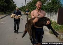 Стаття Затоплені та виснажені: волонтери рятують домашніх тварин після руйнування Каховської ГЕС Ранкове місто. Одеса